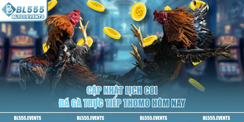 Cập nhật lịch coi đá gà trực tiếp Thomo hôm nay
