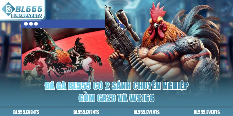 Đá gà BL555 có 2 sảnh chuyên nghiệp gồm GA28 và WS168