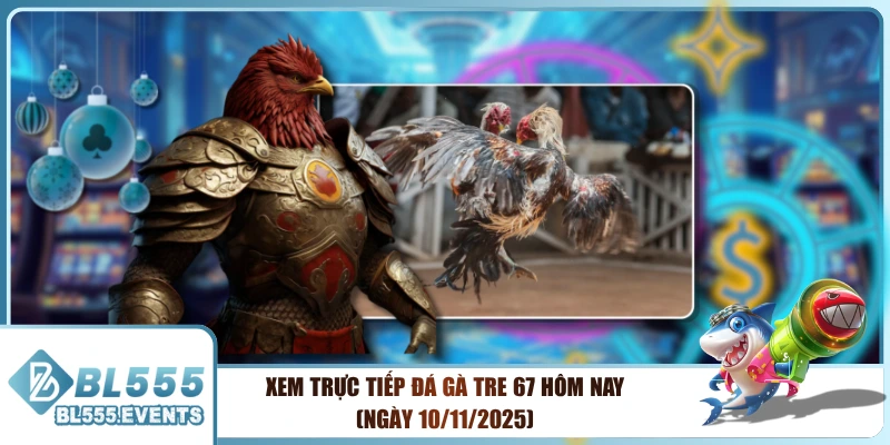 Xem Trực Tiếp Đá Gà Tre 67 Hôm Nay (Ngày 10/11/2025)